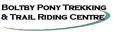 Boltby horse Pony Trekking Trail riding Centre North Yorkshire