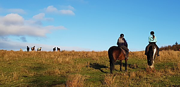 pony trekking in the North York Moors national park between Thirsk and Helmsley