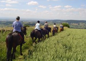 Pony Trekking on the North York Moors